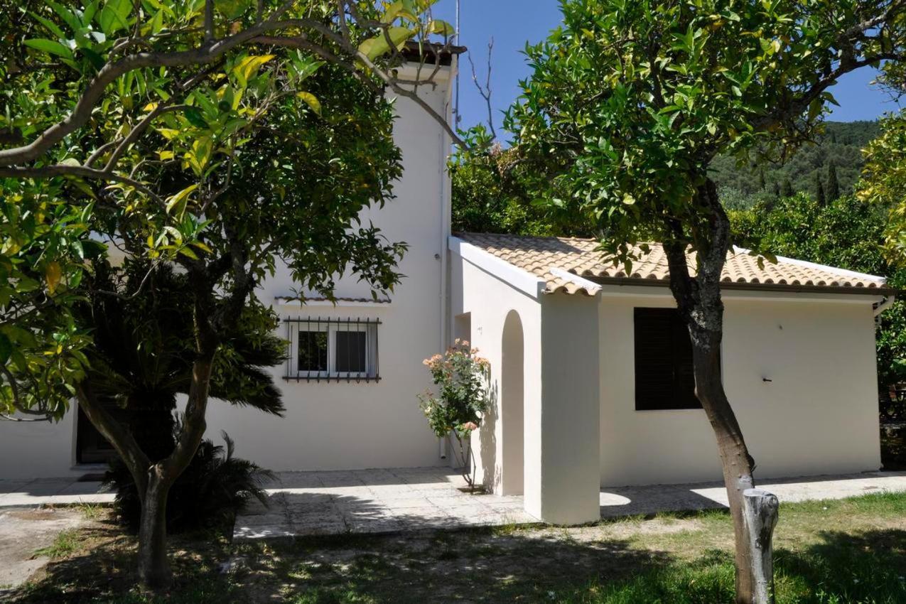 Orange Grove Suites Беницес Екстериор снимка