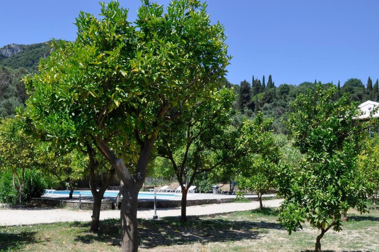 Orange Grove Suites Беницес Екстериор снимка