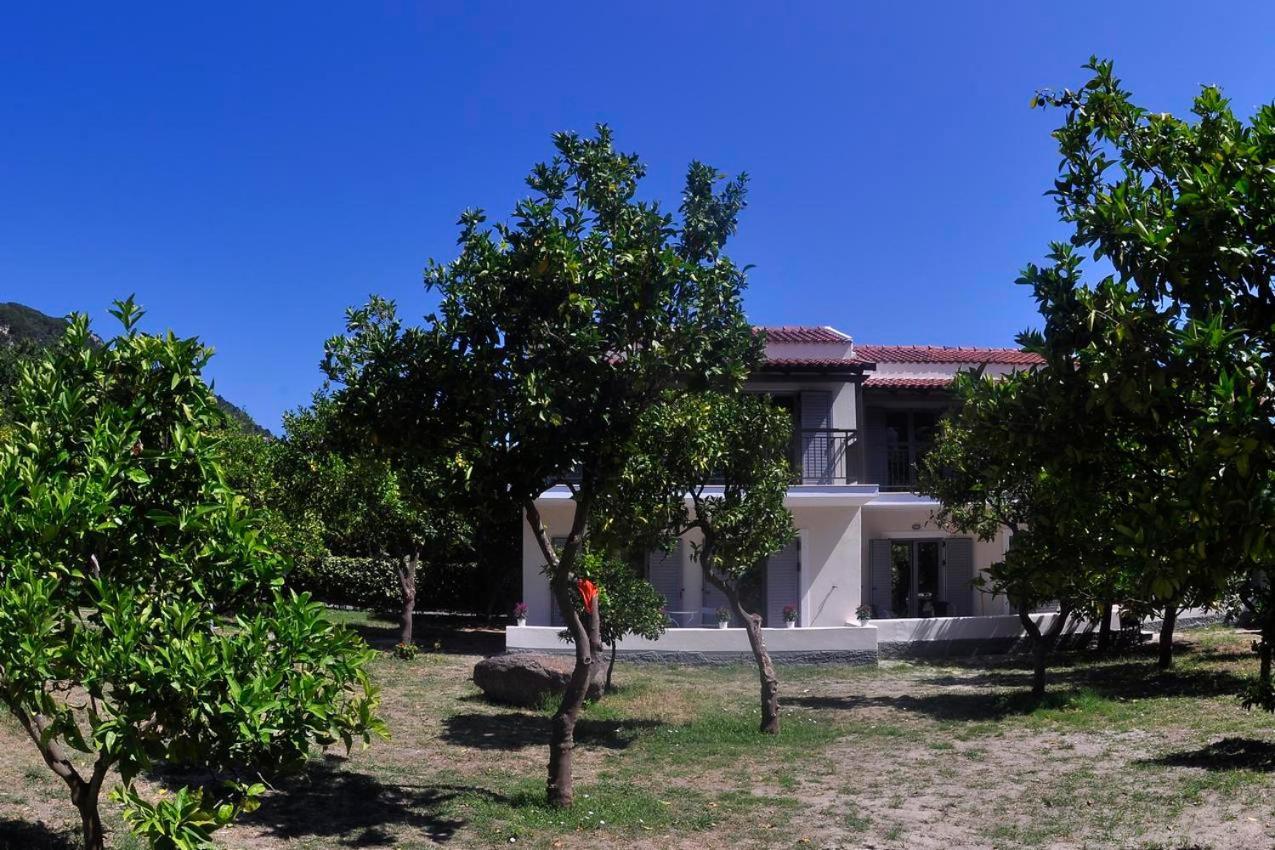 Orange Grove Suites Беницес Екстериор снимка