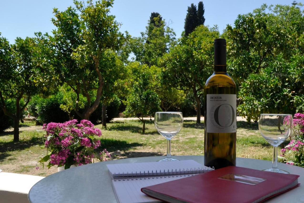 Orange Grove Suites Беницес Екстериор снимка